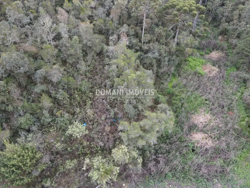 Terreno / Lote à venda, 17100m2 em Campos Do Jordao - SP - imagem 5 Foto 5 de Terreno / Lote à venda, 17100m2 em Campos Do Jordao - SP