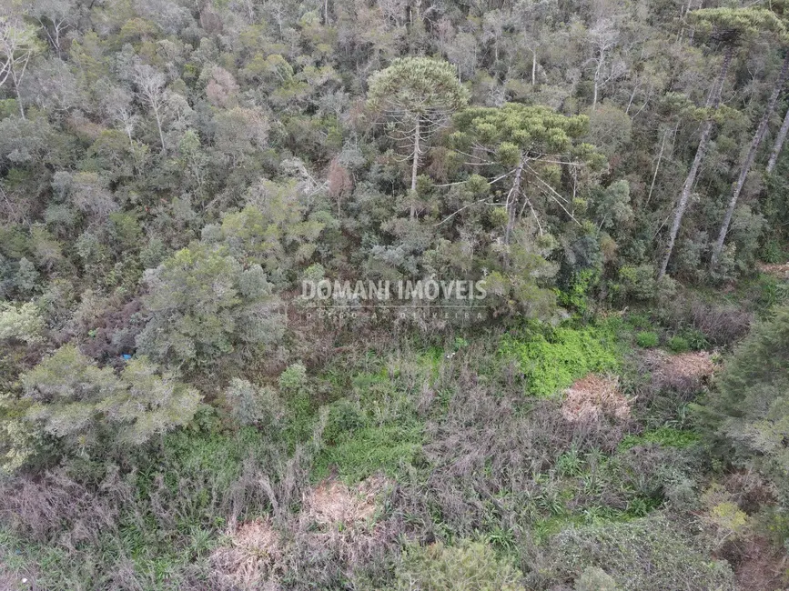 Terreno / Lote à venda, 17100m2 em Campos Do Jordao - SP - imagem 7 Foto 7 de Terreno / Lote à venda, 17100m2 em Campos Do Jordao - SP