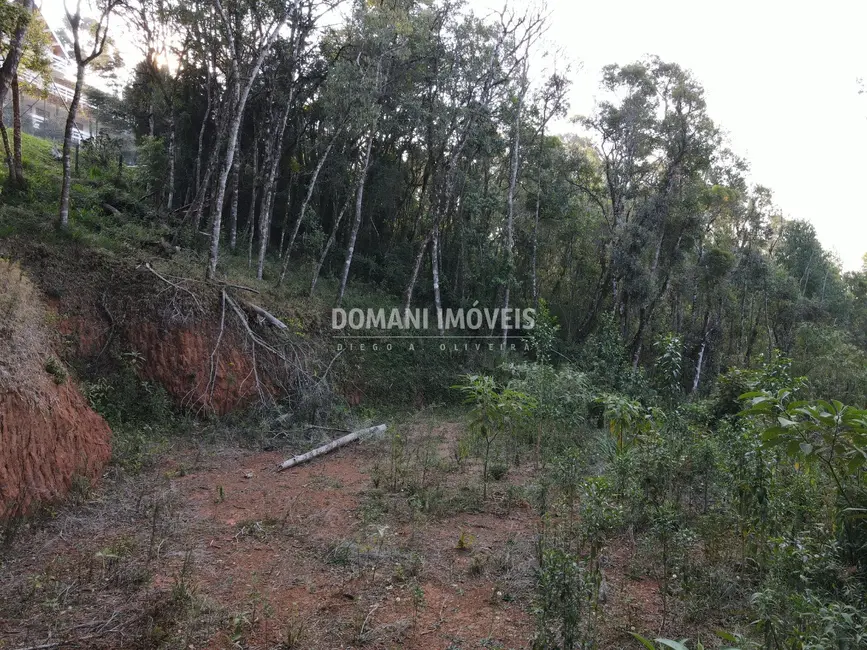 Foto 7 de Terreno / Lote à venda, 1010m2 em Campos Do Jordao - SP