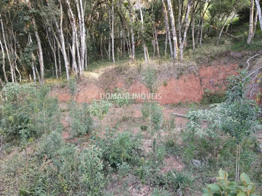 Foto 1 de Terreno / Lote à venda, 1010m2 em Campos Do Jordao - SP