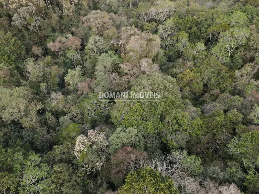 Foto 1 de Terreno / Lote à venda, 3500m2 em Campos Do Jordao - SP