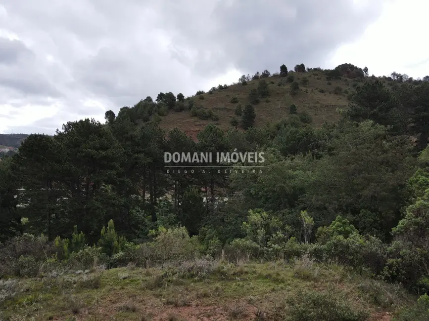 Foto 6 de Terreno / Lote à venda, 3350m2 em Campos Do Jordao - SP