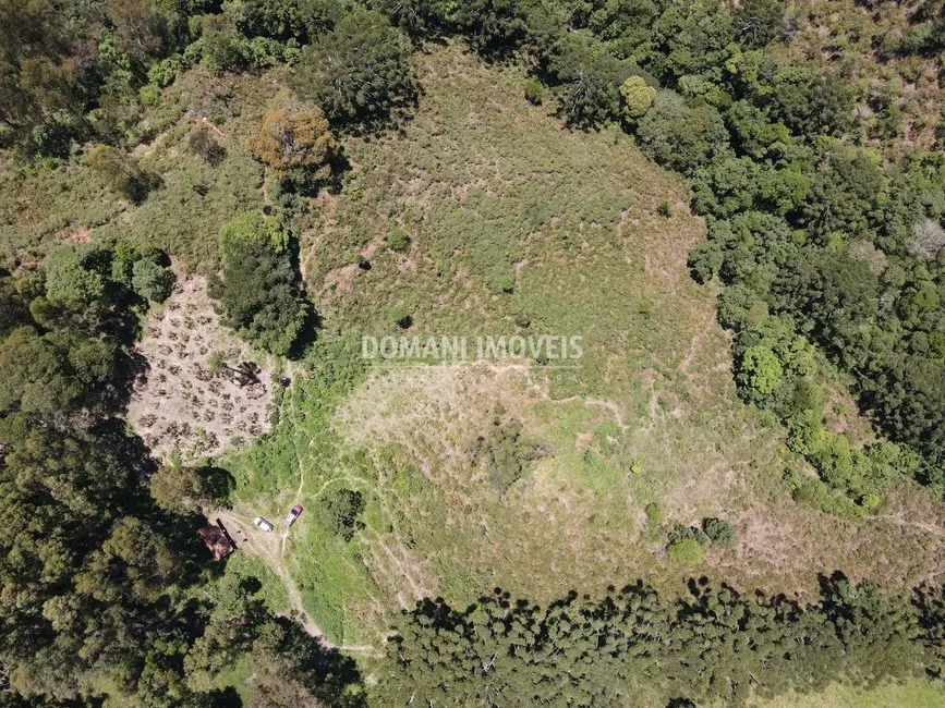Foto 8 de Fazenda / Haras à venda, 230000m2 em Sao Bento Do Sapucai - SP