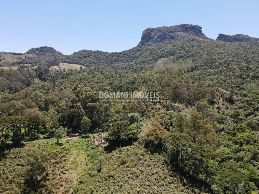 Foto 5 de Fazenda / Haras à venda, 230000m2 em Sao Bento Do Sapucai - SP