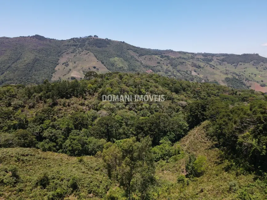 Foto 7 de Fazenda / Haras à venda, 230000m2 em Sao Bento Do Sapucai - SP