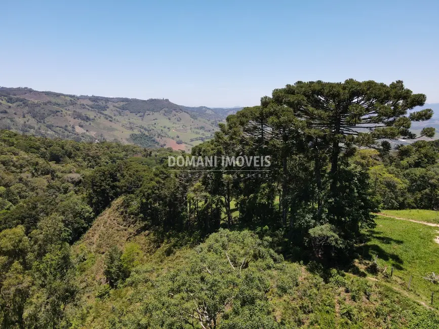 Foto 9 de Fazenda / Haras à venda, 230000m2 em Sao Bento Do Sapucai - SP