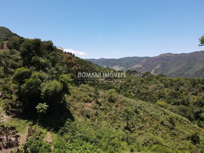 Foto 3 de Fazenda / Haras à venda, 230000m2 em Sao Bento Do Sapucai - SP