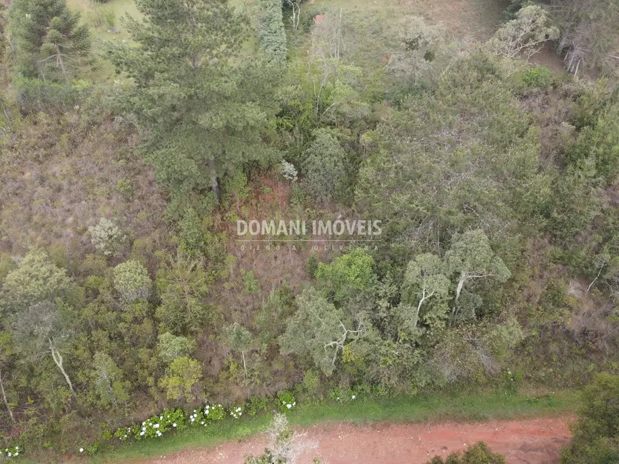 Foto 5 de Terreno / Lote à venda, 1200m2 em Campos Do Jordao - SP