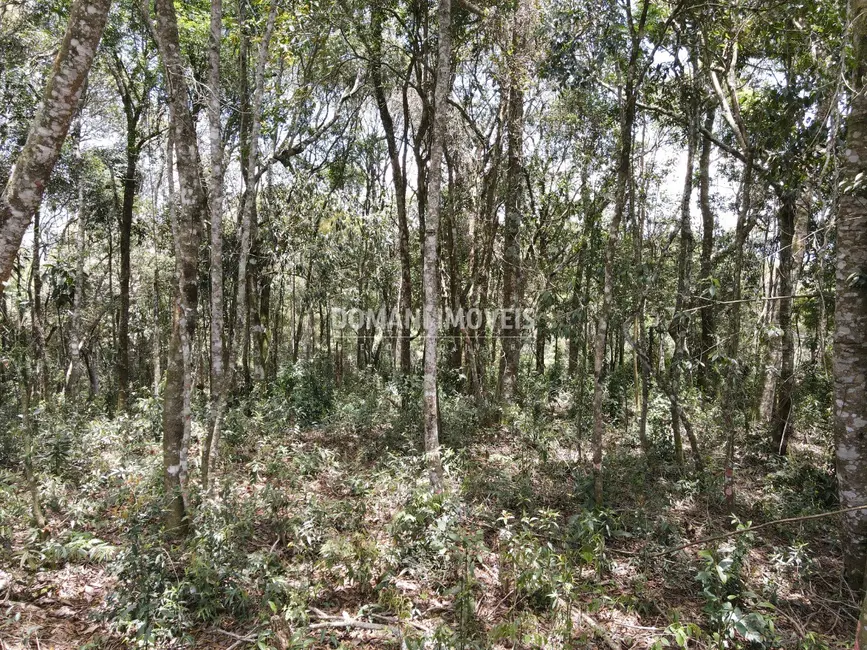 Foto 8 de Terreno / Lote à venda, 1350m2 em Campos Do Jordao - SP