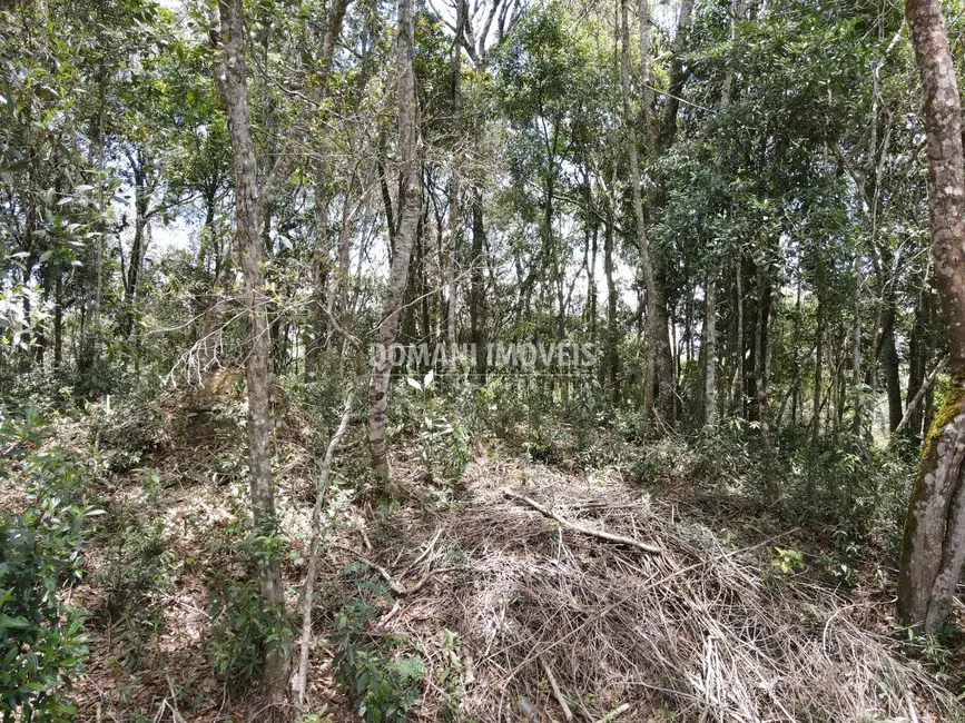 Foto 4 de Terreno / Lote à venda, 1350m2 em Campos Do Jordao - SP