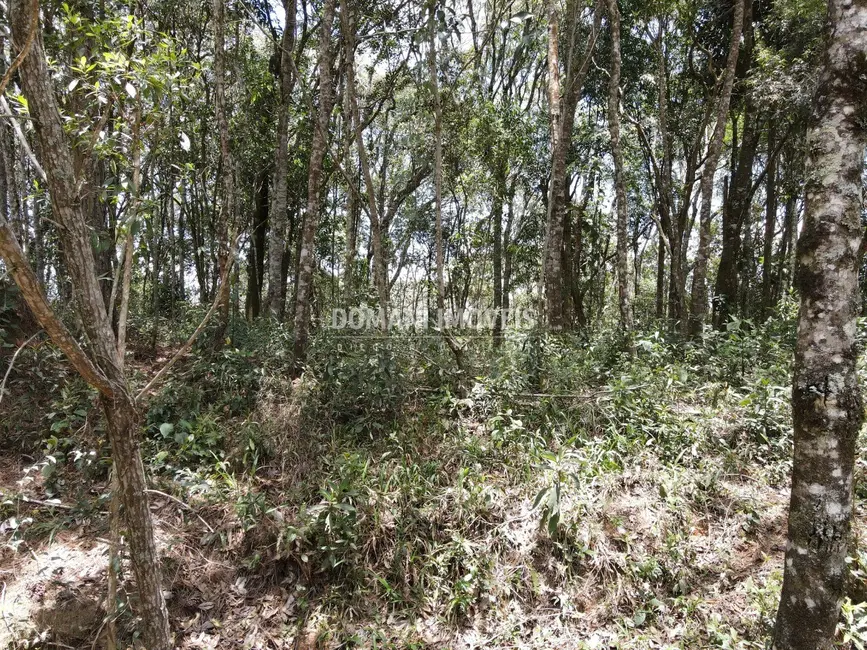 Foto 2 de Terreno / Lote à venda, 1350m2 em Campos Do Jordao - SP