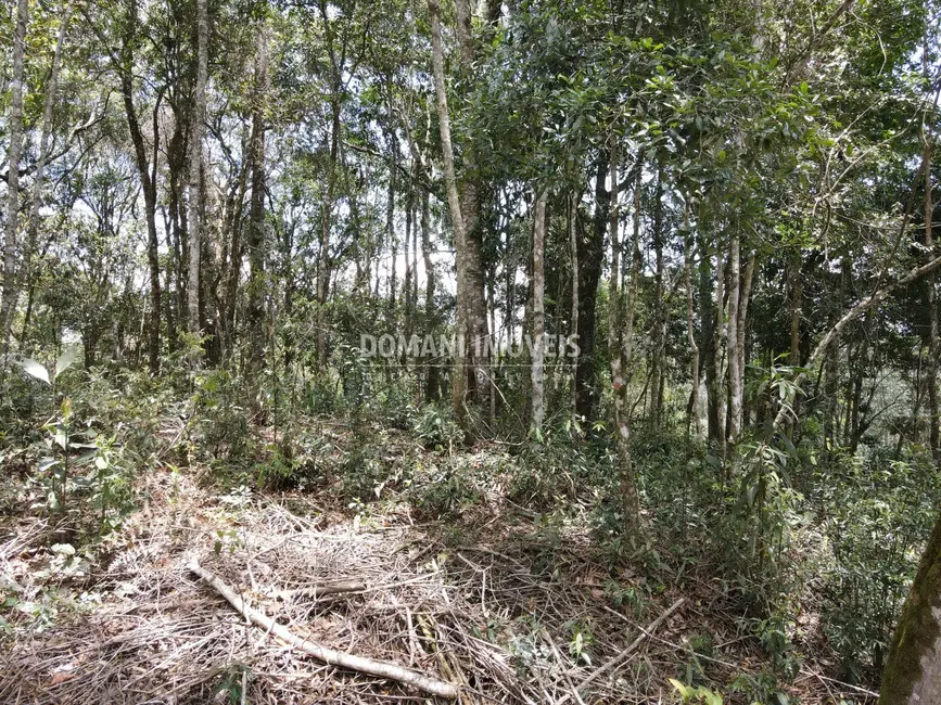 Foto 5 de Terreno / Lote à venda, 1350m2 em Campos Do Jordao - SP