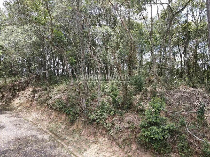 Foto 7 de Terreno / Lote à venda, 1350m2 em Campos Do Jordao - SP