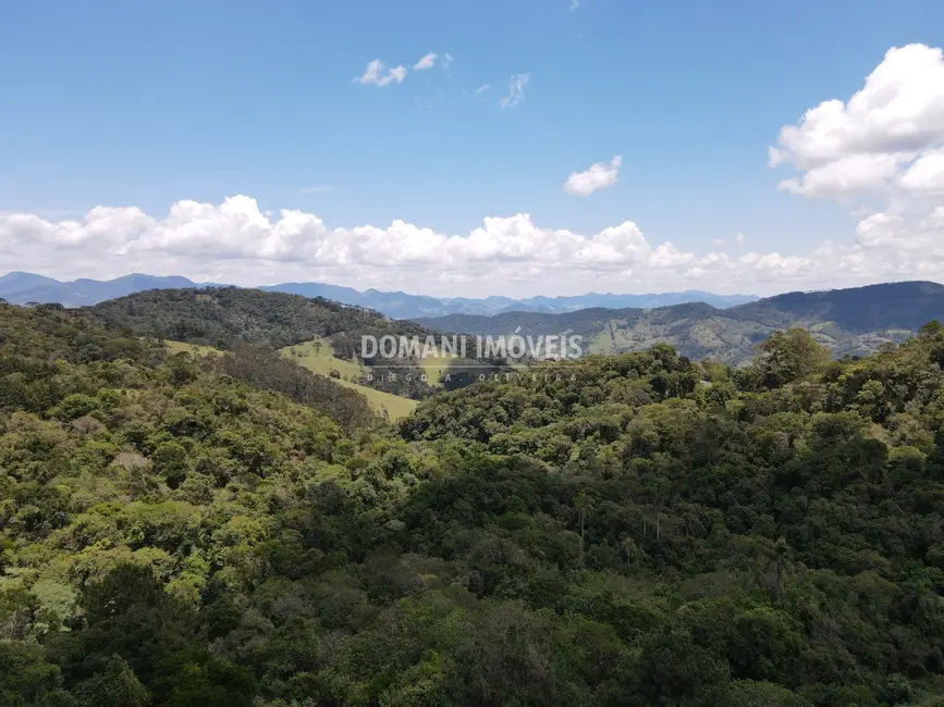 Foto 4 de Terreno / Lote à venda, 8900m2 em Campos Do Jordao - SP