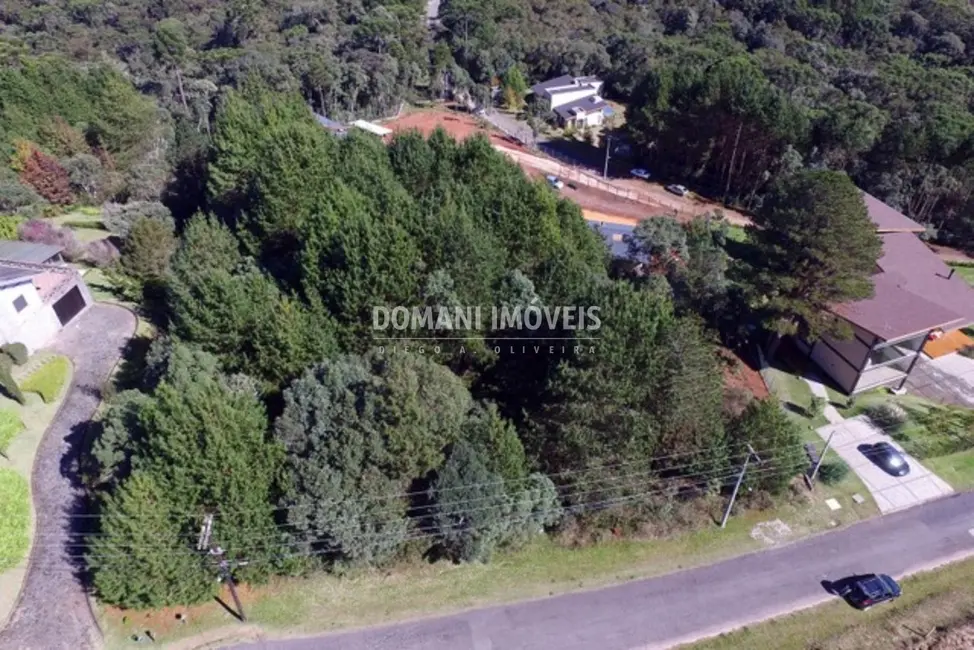 Foto 4 de Terreno / Lote à venda, 2800m2 em Campos Do Jordao - SP