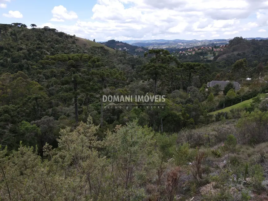 Terreno / Lote à venda, 1100m2 em Campos Do Jordao - SP - imagem 7 Foto 7 de Terreno / Lote à venda, 1100m2 em Campos Do Jordao - SP