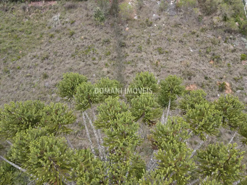 Terreno / Lote à venda, 1100m2 em Campos Do Jordao - SP - imagem 9 Foto 9 de Terreno / Lote à venda, 1100m2 em Campos Do Jordao - SP