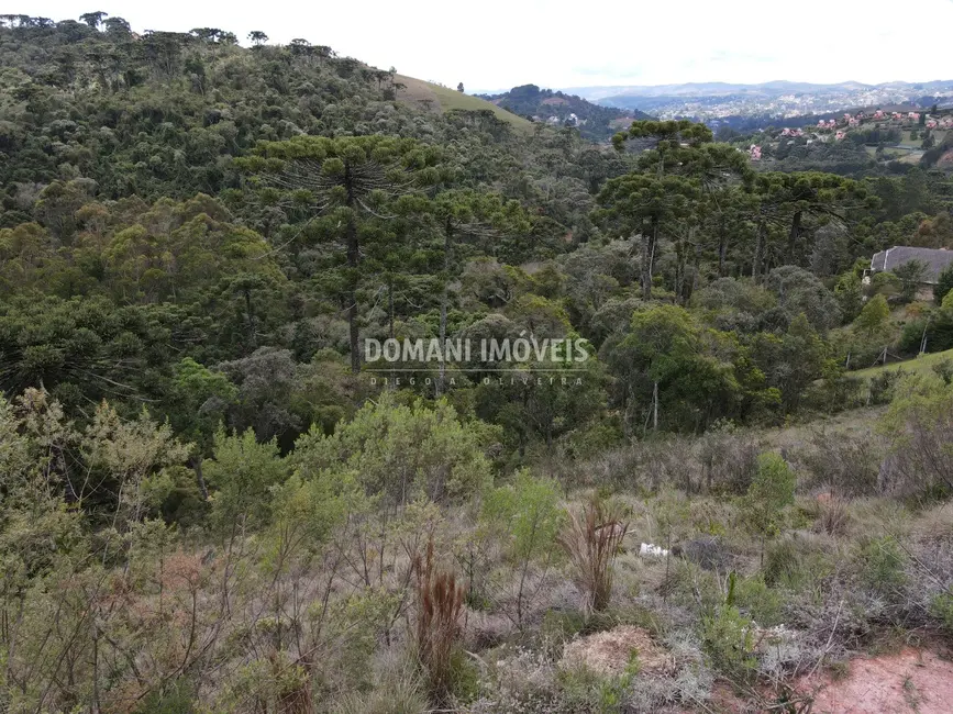 Terreno / Lote à venda, 1100m2 em Campos Do Jordao - SP - imagem 3 Foto 3 de Terreno / Lote à venda, 1100m2 em Campos Do Jordao - SP