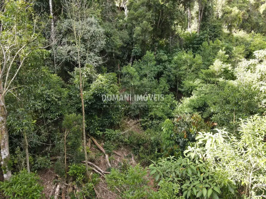 Foto 5 de Terreno / Lote à venda, 2050m2 em Campos Do Jordao - SP