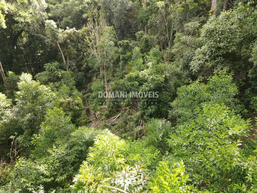 Foto 7 de Terreno / Lote à venda, 2050m2 em Campos Do Jordao - SP