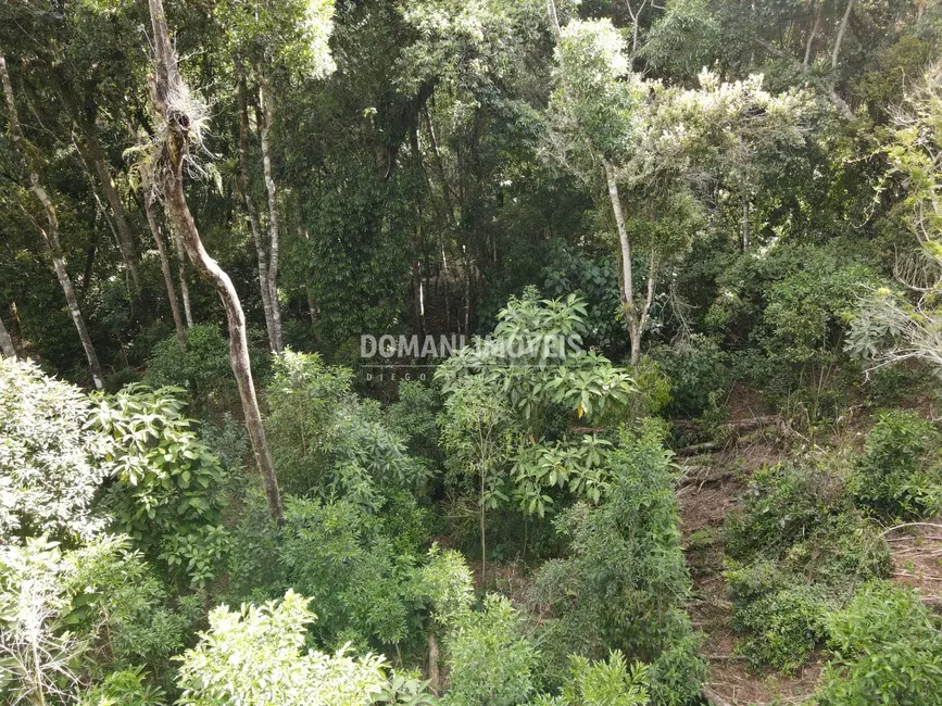 Foto 9 de Terreno / Lote à venda, 2050m2 em Campos Do Jordao - SP