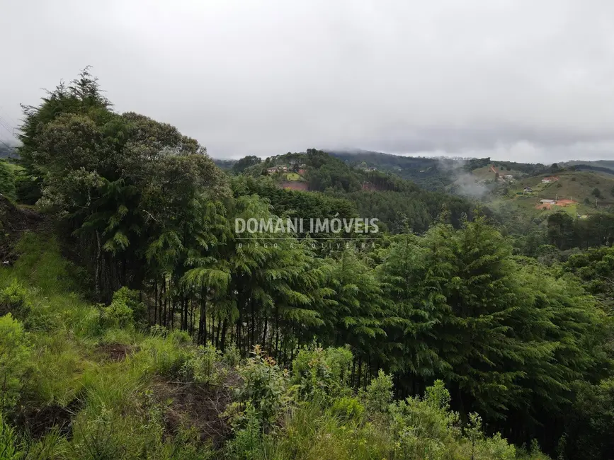 Foto 6 de Terreno / Lote à venda, 1500m2 em Campos Do Jordao - SP