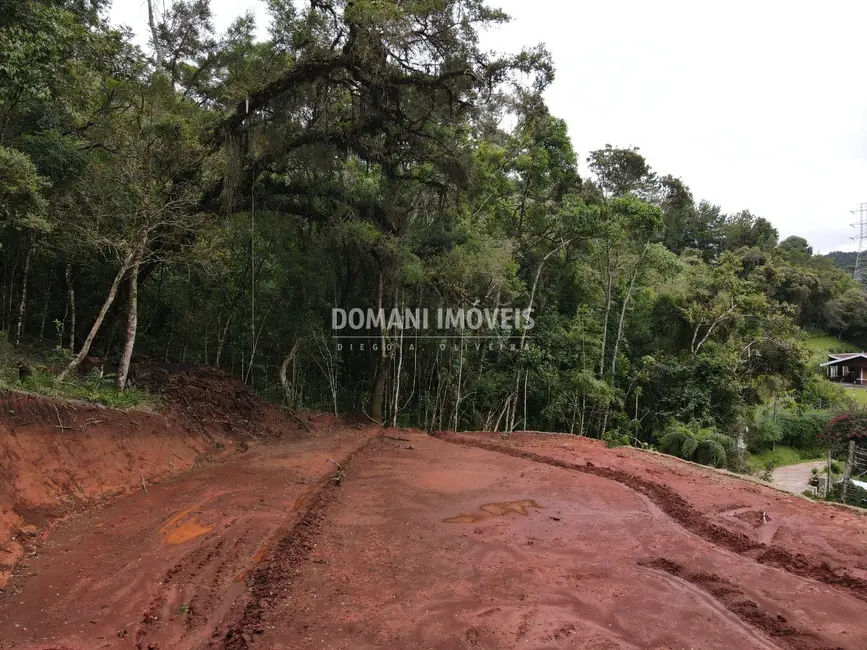 Foto 6 de Terreno / Lote à venda, 965m2 em Campos Do Jordao - SP