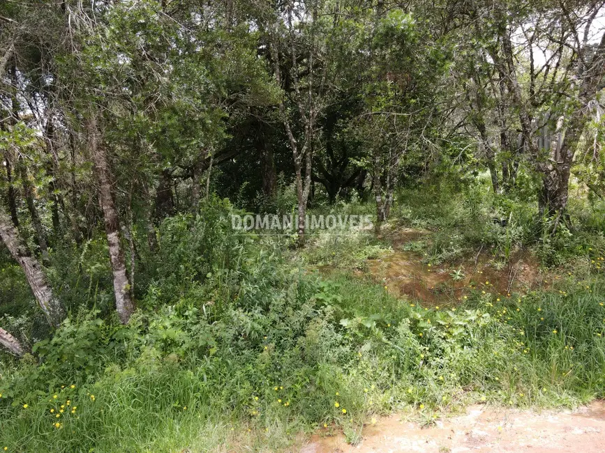 Foto 8 de Terreno / Lote à venda, 1990m2 em Campos Do Jordao - SP