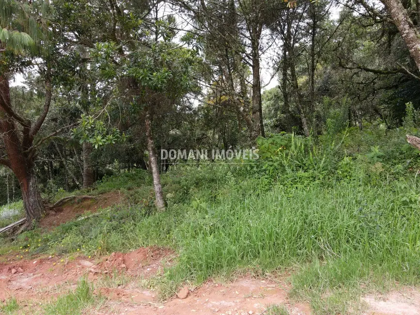 Foto 1 de Terreno / Lote à venda, 1990m2 em Campos Do Jordao - SP