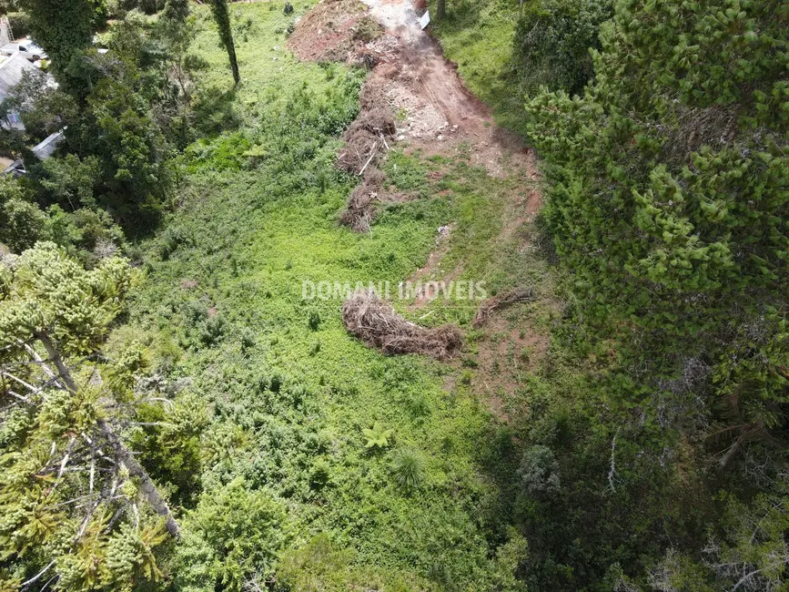 Foto 2 de Terreno / Lote à venda, 3200m2 em Campos Do Jordao - SP