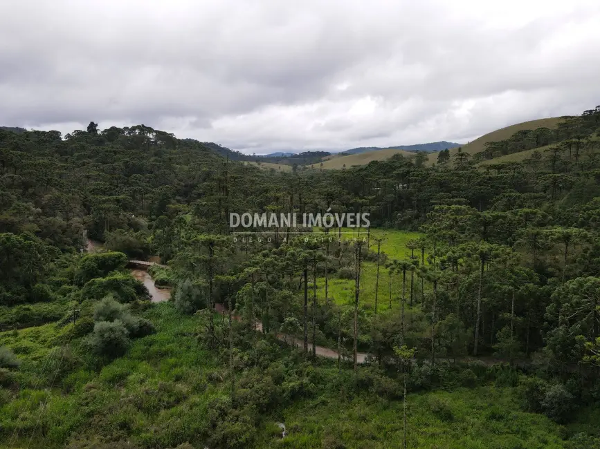 Foto 3 de Terreno / Lote à venda, 21950m2 em Campos Do Jordao - SP