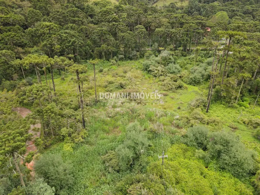 Foto 4 de Terreno / Lote à venda, 21950m2 em Campos Do Jordao - SP