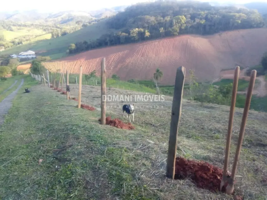 Foto 4 de Terreno / Lote à venda, 1170m2 em Santo Antonio Do Pinhal - SP