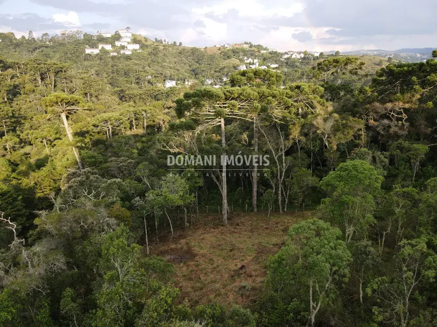 Terreno / Lote à venda, 1060m2 em Campos Do Jordao - SP - imagem 5 Foto 5 de Terreno / Lote à venda, 1060m2 em Campos Do Jordao - SP