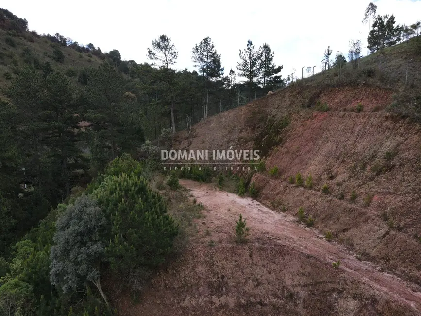 Foto 6 de Terreno / Lote à venda, 1980m2 em Campos Do Jordao - SP
