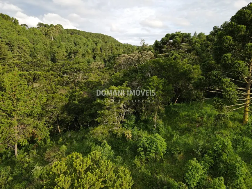 Foto 7 de Terreno / Lote à venda, 2100m2 em Campos Do Jordao - SP