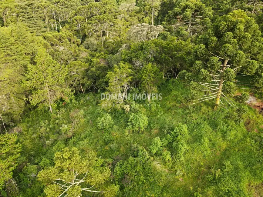 Foto 1 de Terreno / Lote à venda, 2100m2 em Campos Do Jordao - SP