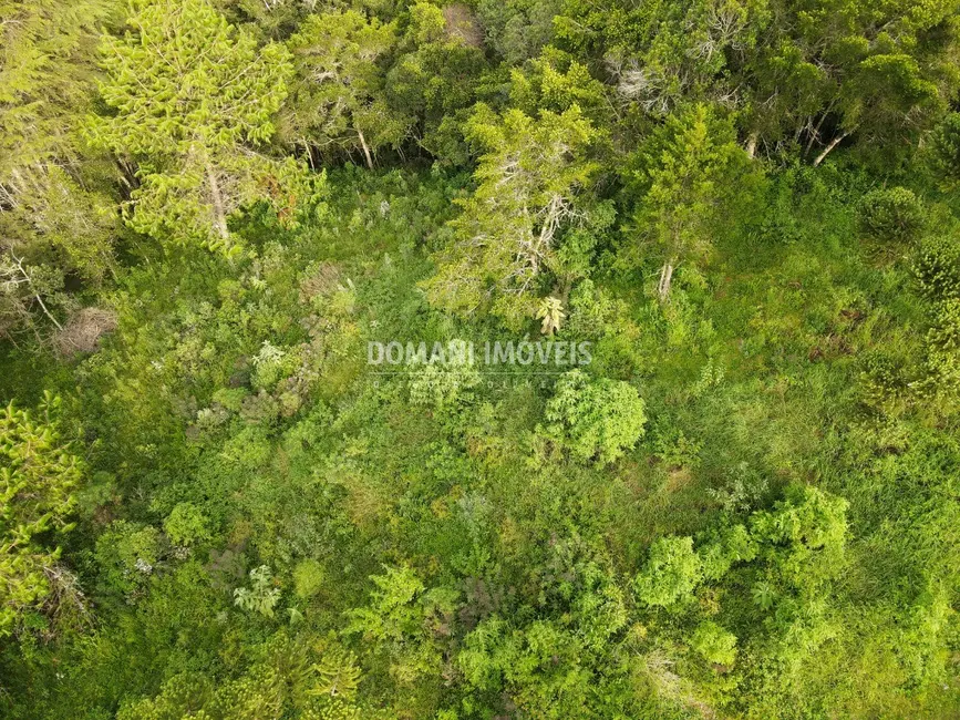 Foto 2 de Terreno / Lote à venda, 2100m2 em Campos Do Jordao - SP