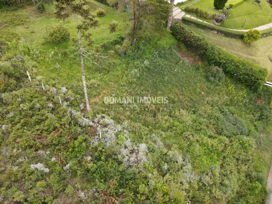 Foto 3 de Terreno / Lote à venda, 1010m2 em Campos Do Jordao - SP