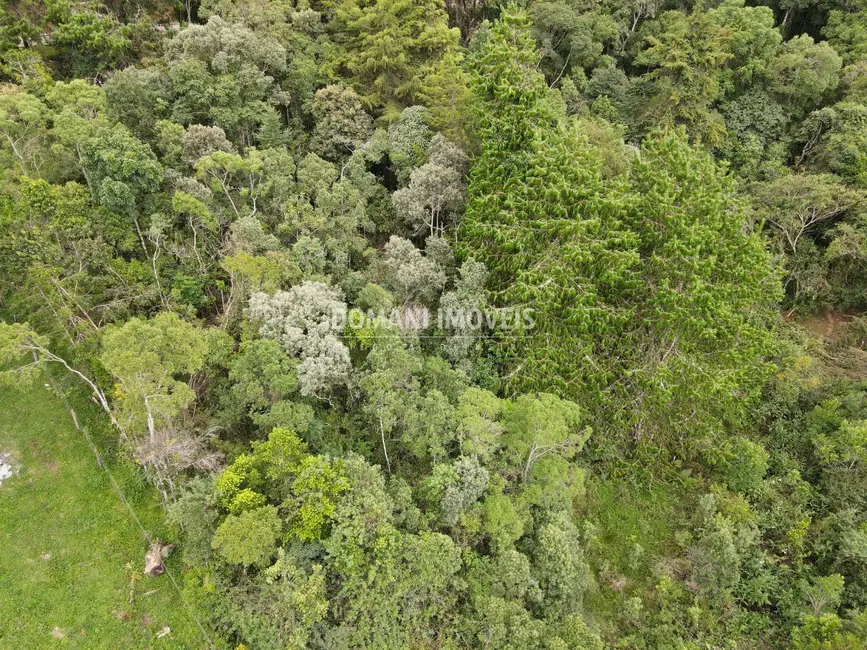 Foto 1 de Terreno / Lote à venda, 1260m2 em Campos Do Jordao - SP