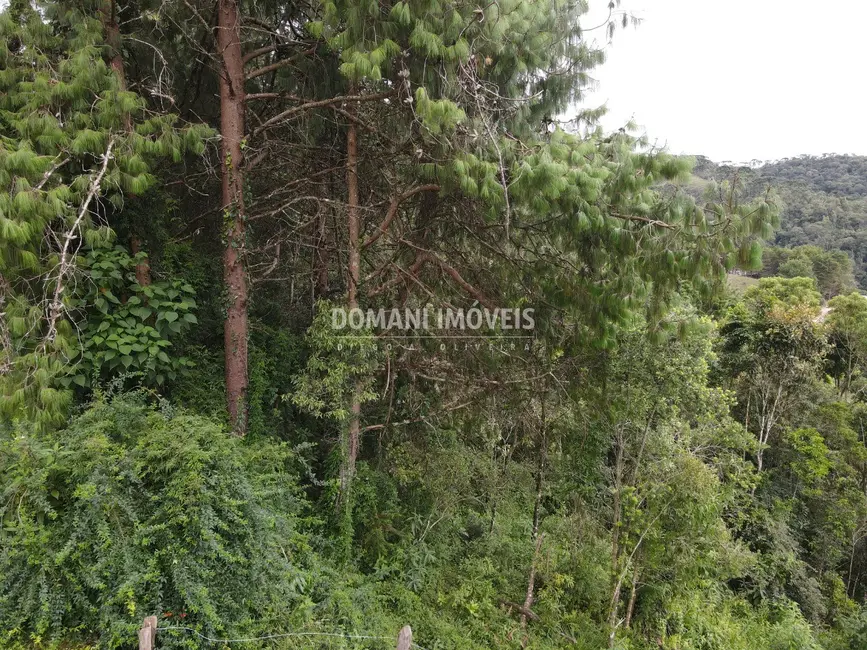 Foto 7 de Terreno / Lote à venda, 1260m2 em Campos Do Jordao - SP