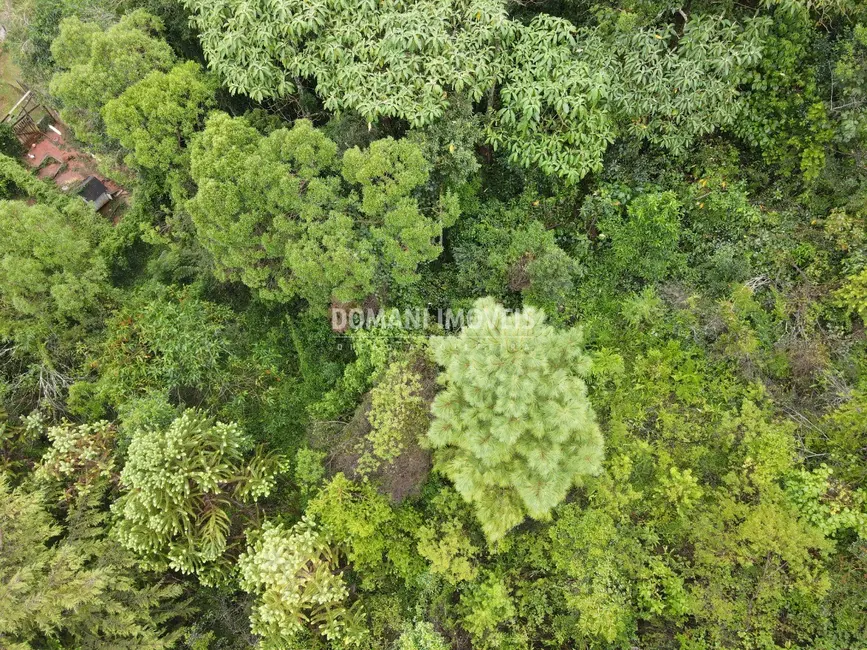 Foto 2 de Terreno / Lote à venda, 1020m2 em Campos Do Jordao - SP