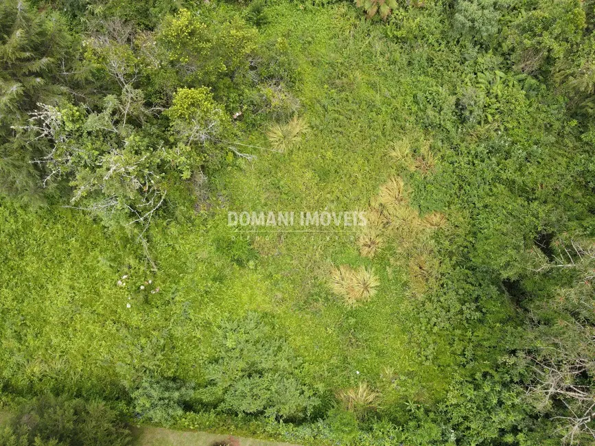 Terreno / Lote à venda, 1200m2 em Campos Do Jordao - SP - imagem 3 Foto 3 de Terreno / Lote à venda, 1200m2 em Campos Do Jordao - SP