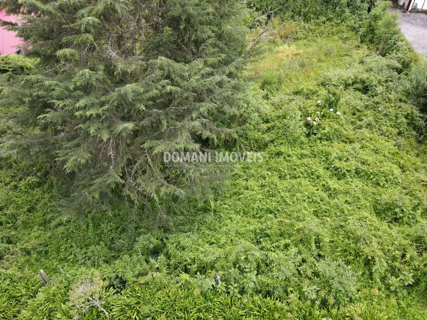 Terreno / Lote à venda, 1200m2 em Campos Do Jordao - SP - imagem 9 Foto 9 de Terreno / Lote à venda, 1200m2 em Campos Do Jordao - SP