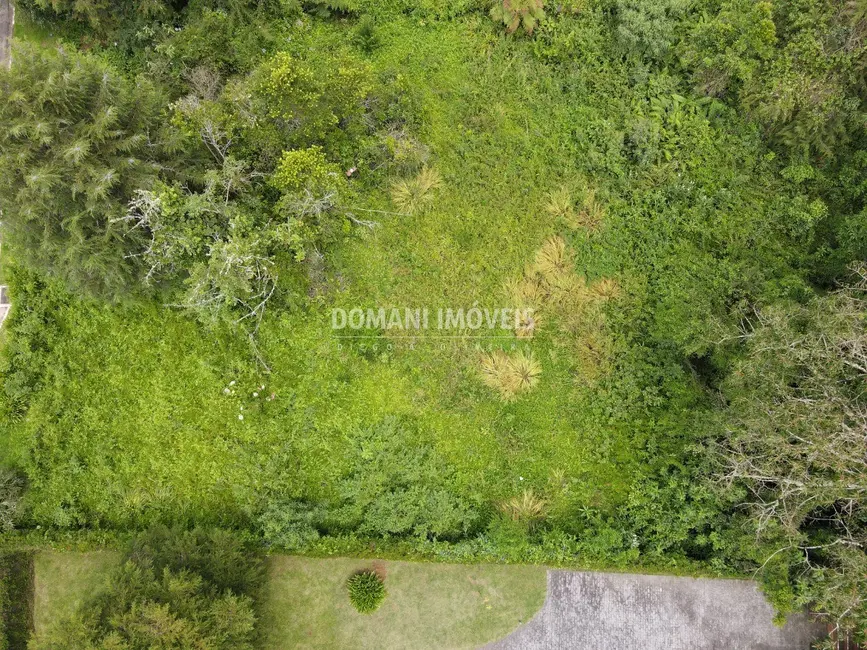 Terreno / Lote à venda, 1200m2 em Campos Do Jordao - SP - imagem 6 Foto 6 de Terreno / Lote à venda, 1200m2 em Campos Do Jordao - SP