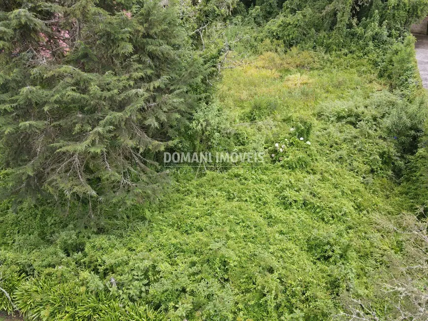 Terreno / Lote à venda, 1200m2 em Campos Do Jordao - SP - imagem 5 Foto 5 de Terreno / Lote à venda, 1200m2 em Campos Do Jordao - SP