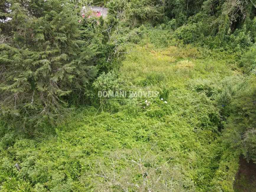 Terreno / Lote à venda, 1200m2 em Campos Do Jordao - SP - imagem 8 Foto 8 de Terreno / Lote à venda, 1200m2 em Campos Do Jordao - SP