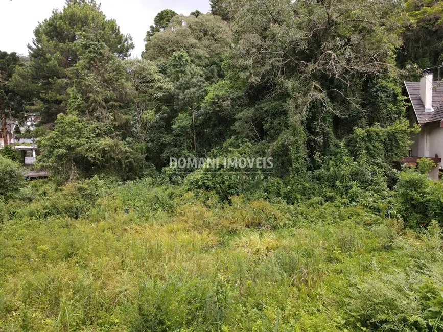 Foto 1 de Terreno / Lote à venda, 1200m2 em Campos Do Jordao - SP