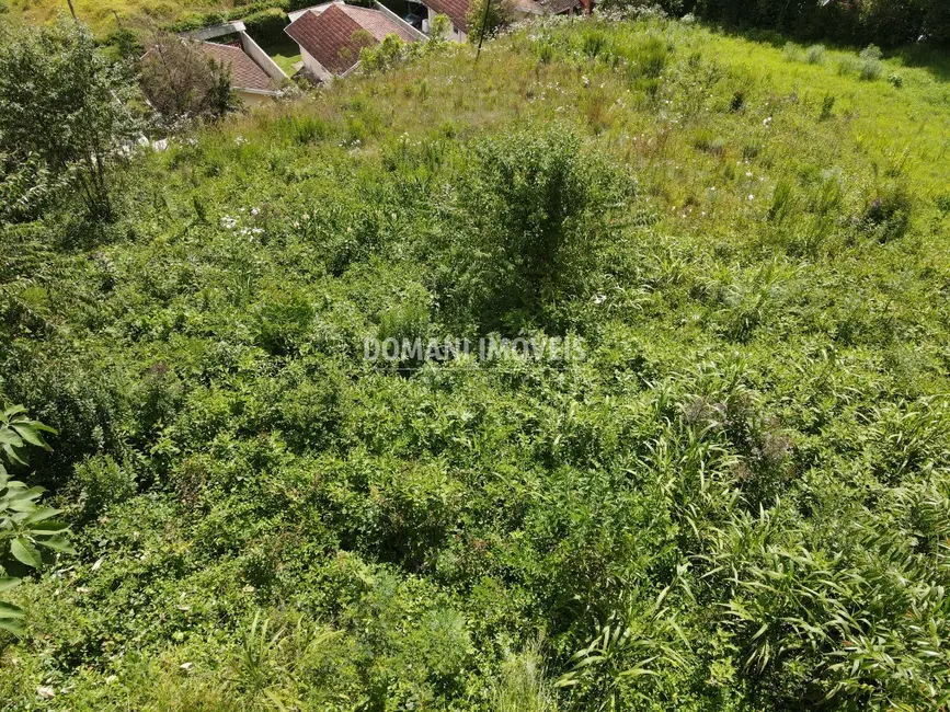 Foto 4 de Terreno / Lote à venda, 1350m2 em Campos Do Jordao - SP