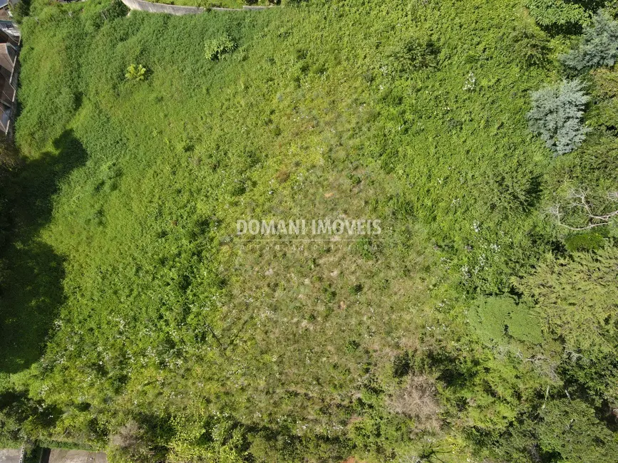 Foto 9 de Terreno / Lote à venda, 1350m2 em Campos Do Jordao - SP